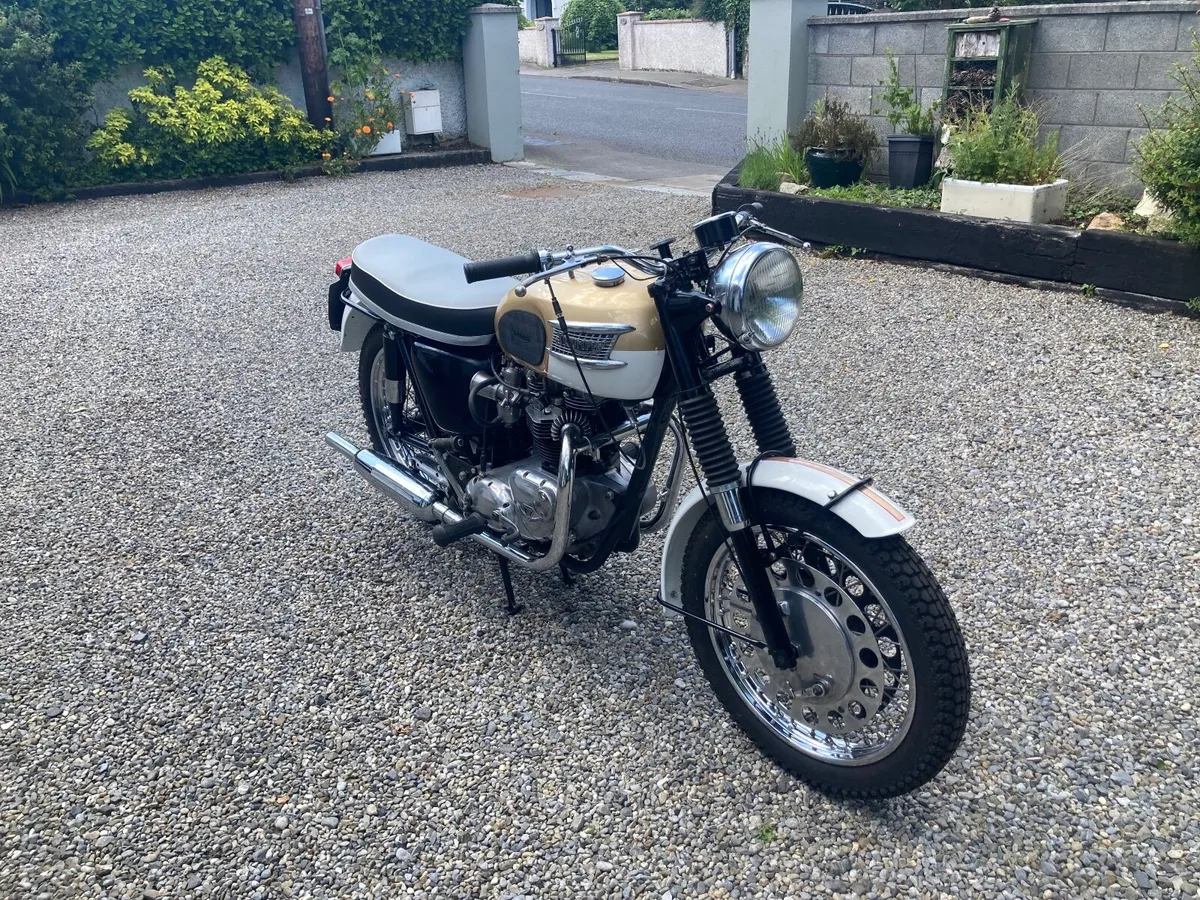 Triumph Bonneville - Image 3