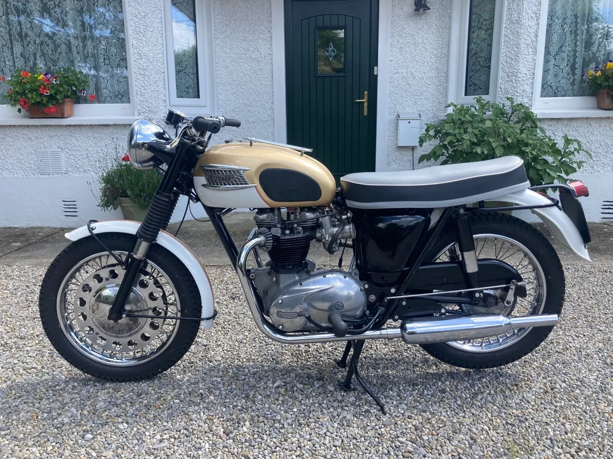 Triumph Bonneville - Image 2