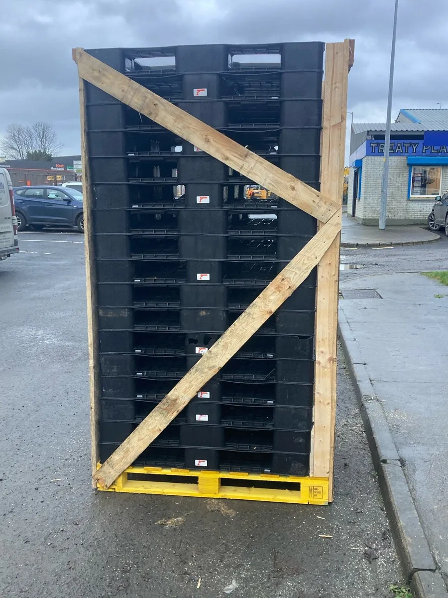 Plastic pallets - Image 1