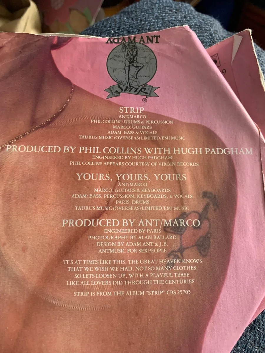 Adam ant strip - Image 3