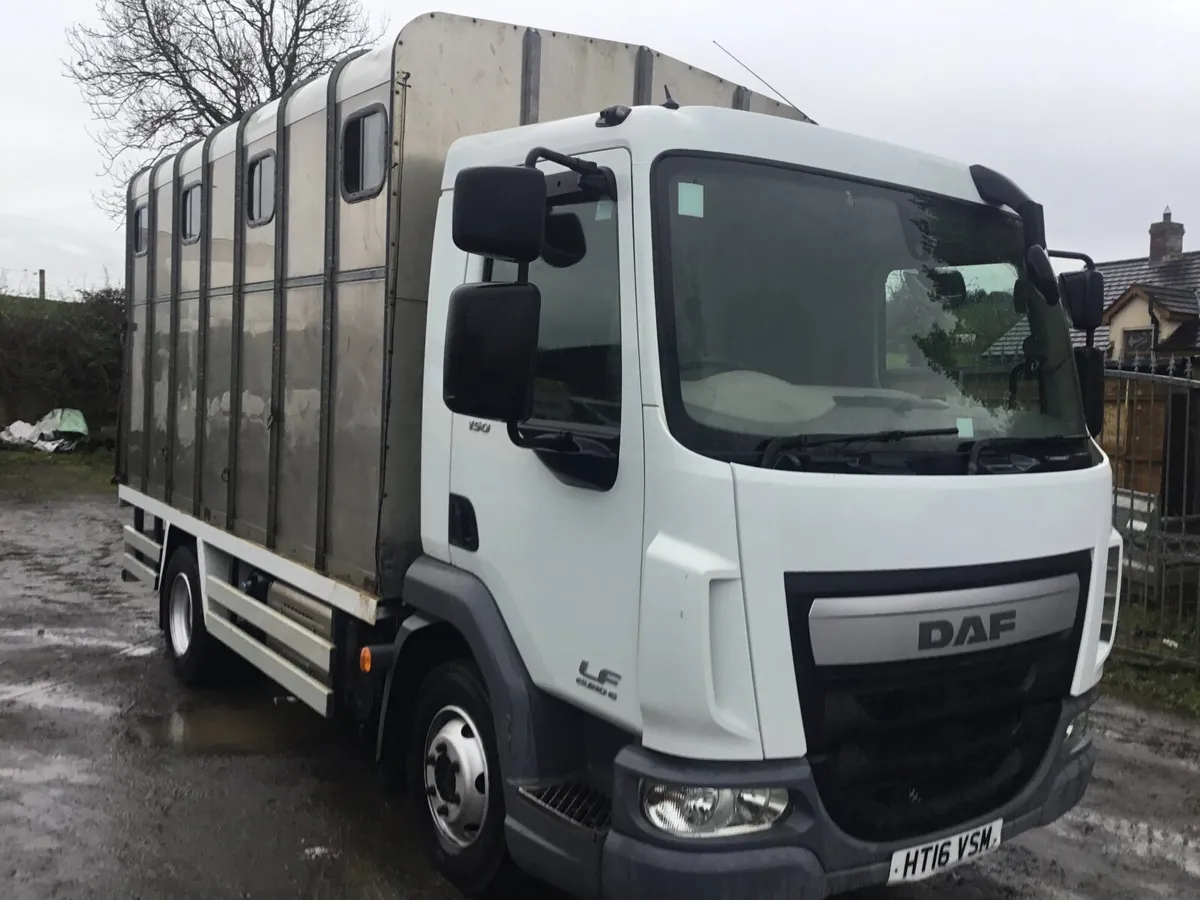 2016 Daf horse lorry - Image 4