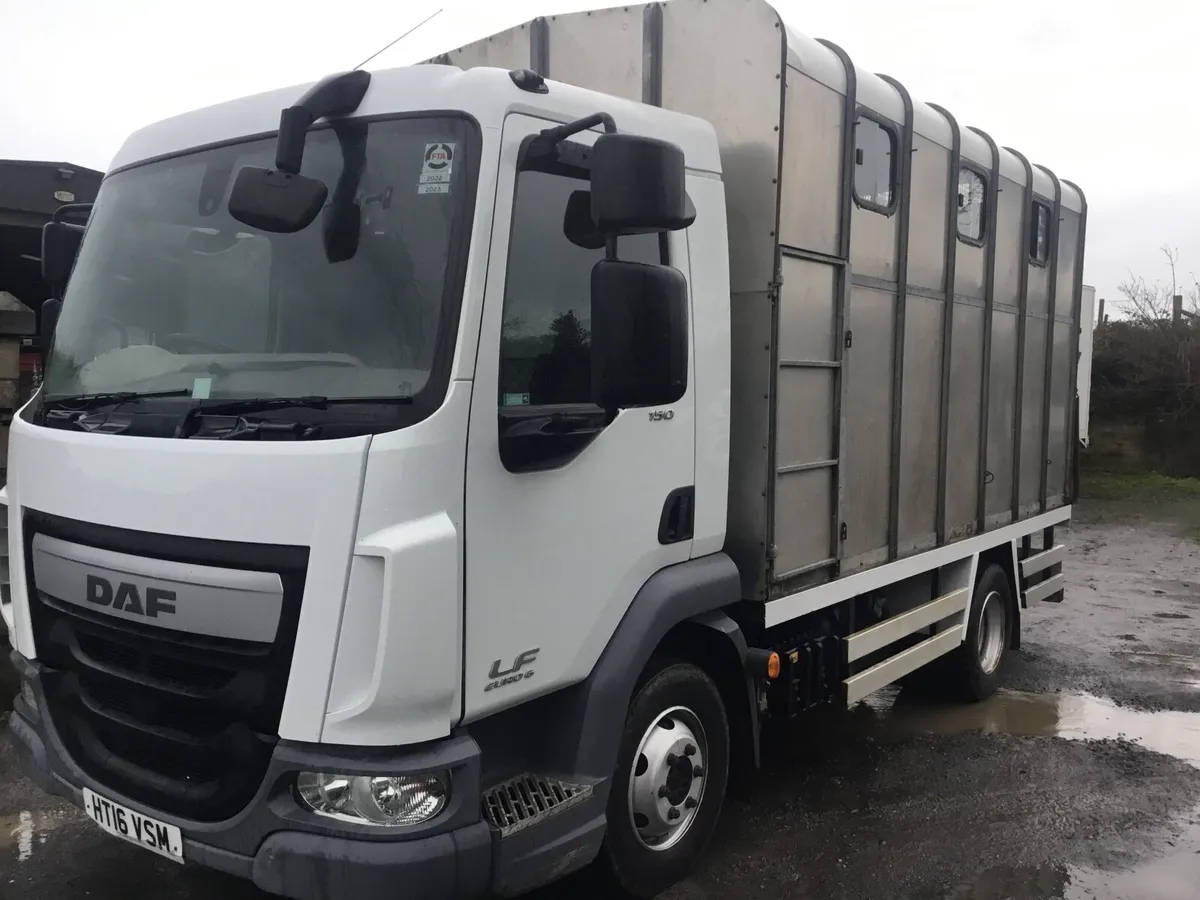 2016 Daf horse lorry - Image 1