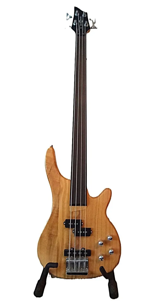 Fretless Bass Guitar