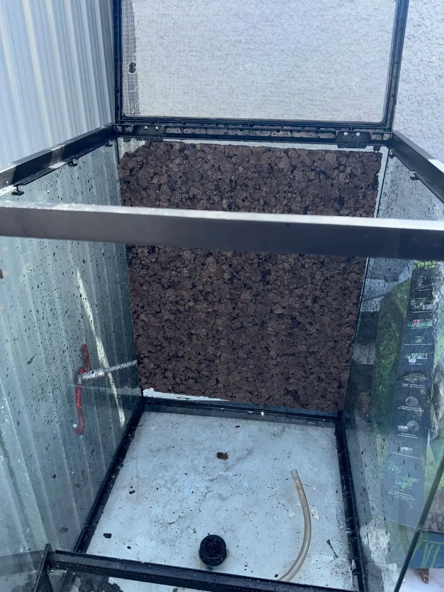 Reptile vivs - Image 3