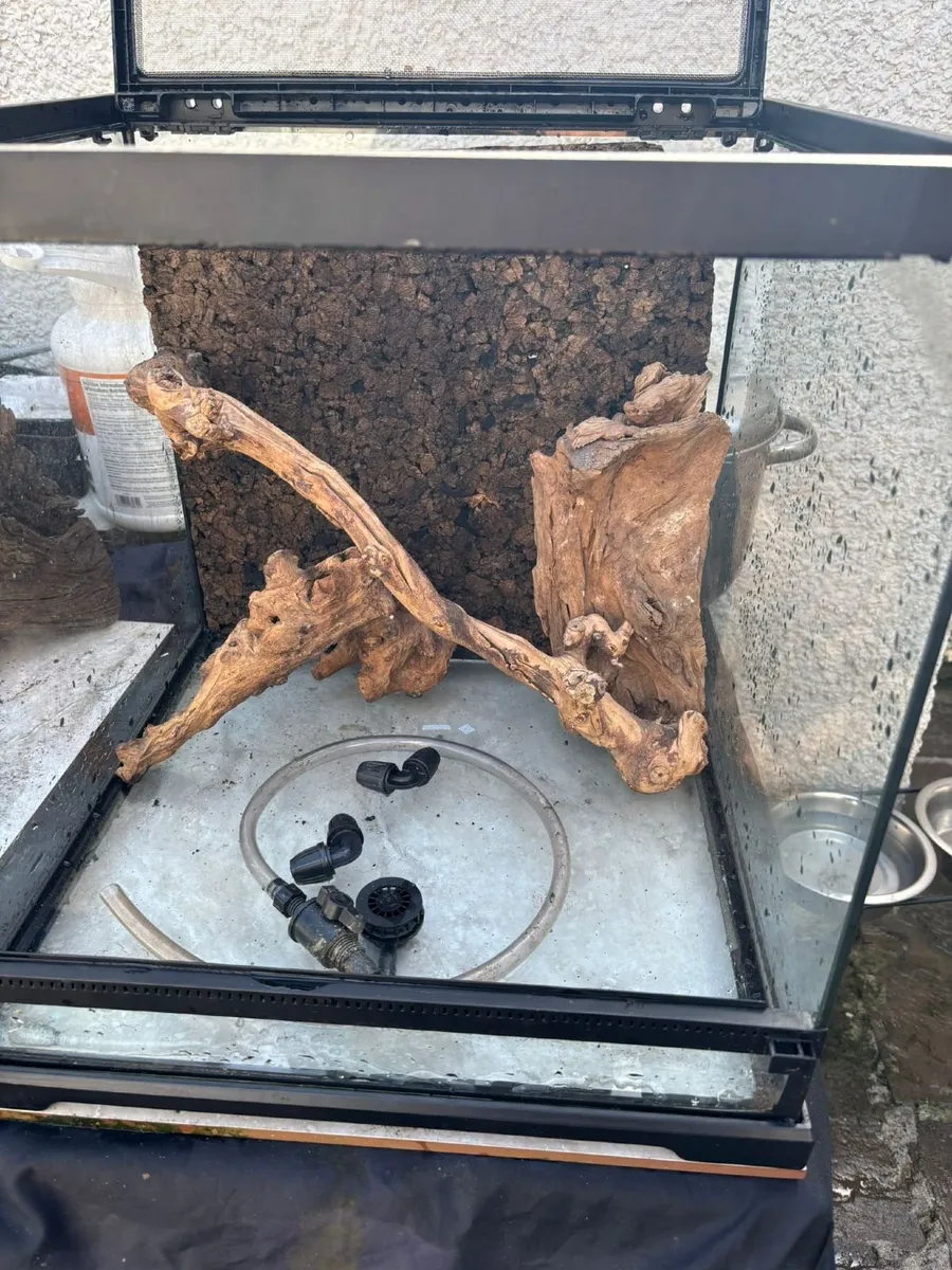 Reptile vivs - Image 4