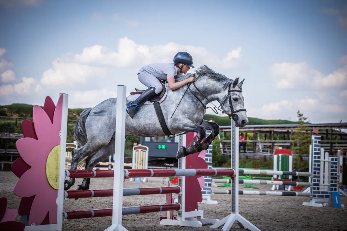 Liskillen Archie at stud - Image 3