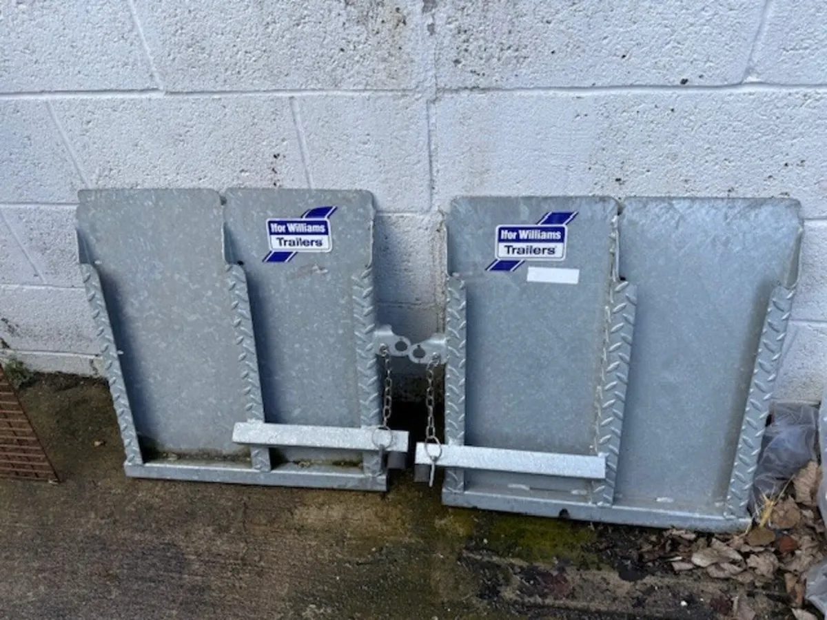 T200 Pair Heavy Dut Galv Ramps - Image 1