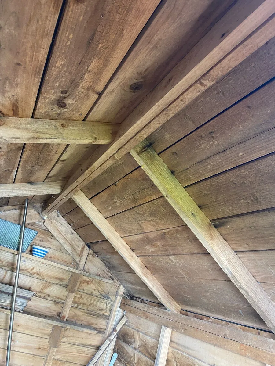 Garden shed - Image 3