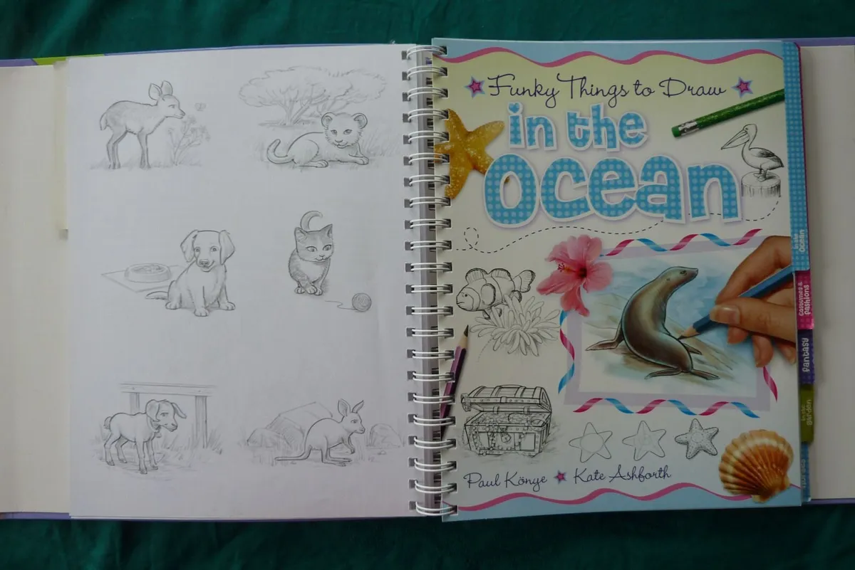 Lear to draw (books) - Image 2