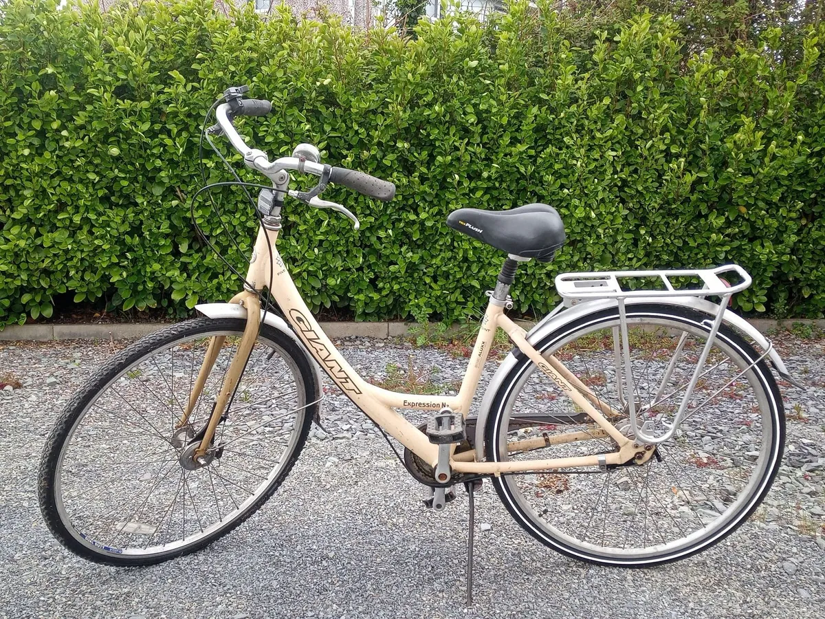 Adult's Bike