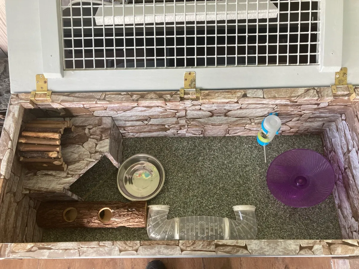 Ornamental Hamster Home - Image 2