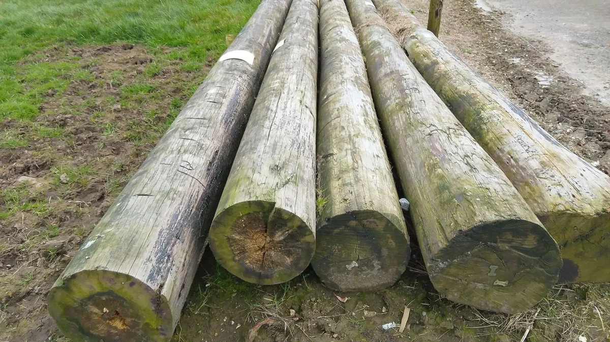 Wooden Poles