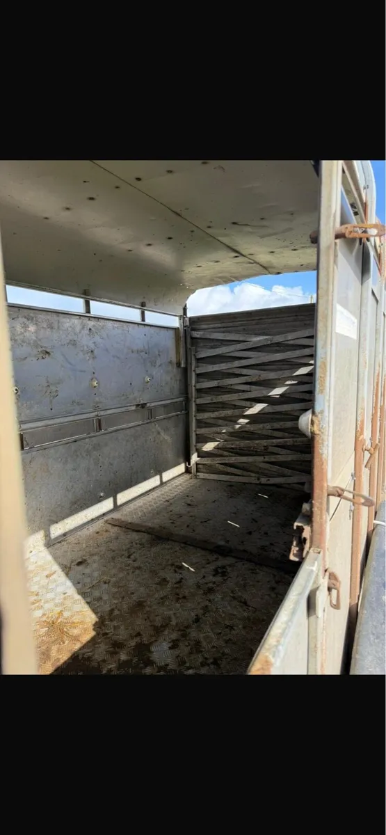 Cattle trailer - Image 4