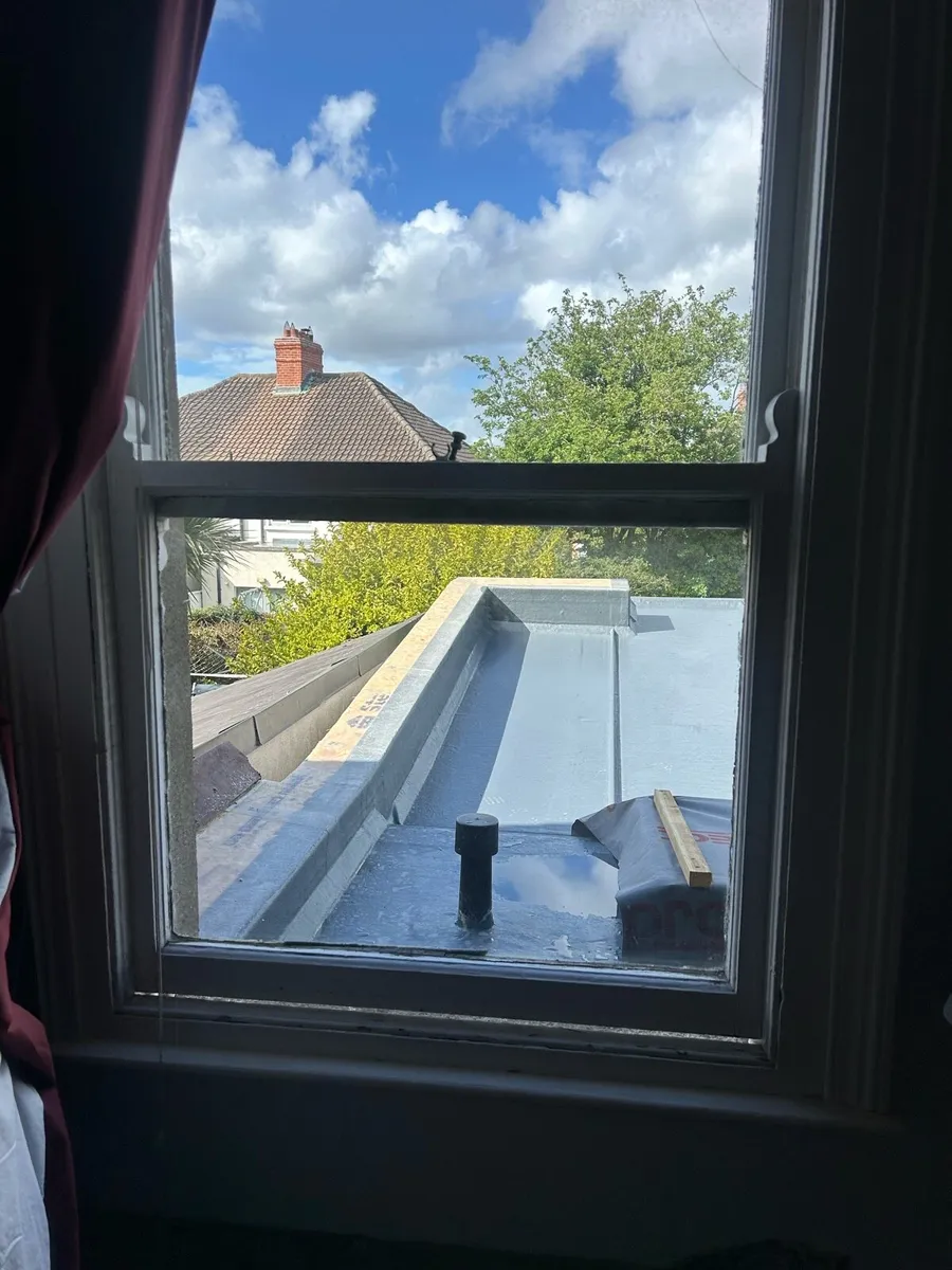 Dash single glazed windows - Image 1