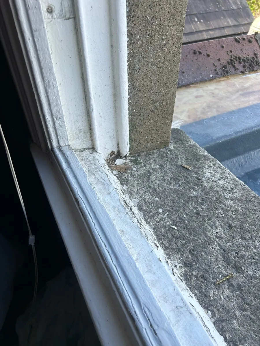 Dash single glazed windows - Image 3