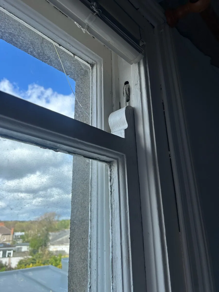 Dash single glazed windows - Image 4