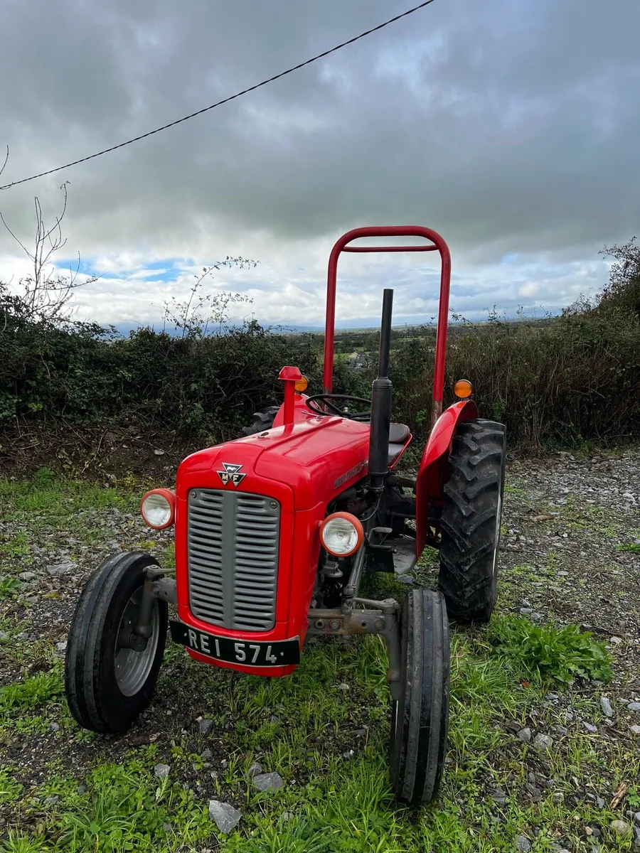 **AVAILABLE ** relief milking and tractor driver - Image 2