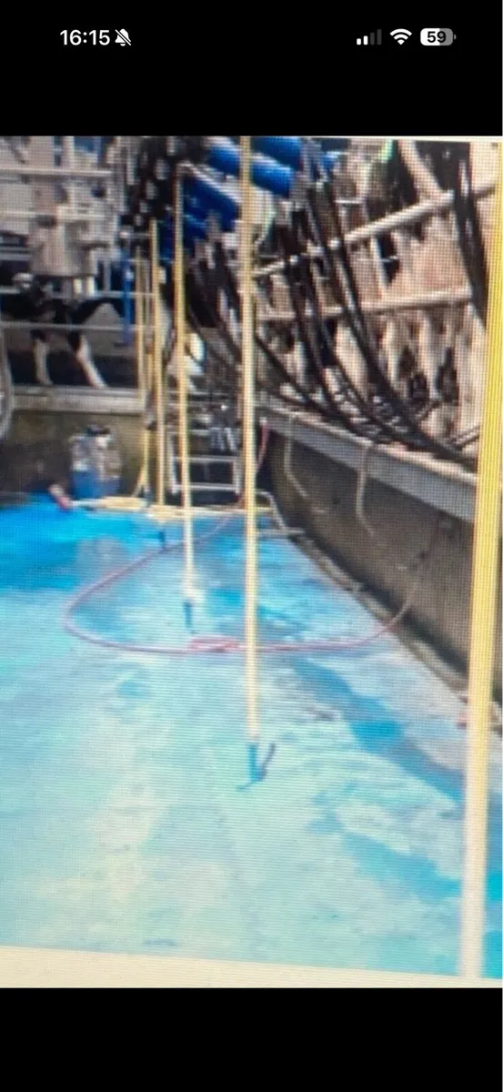 **AVAILABLE ** relief milking and tractor driver - Image 1