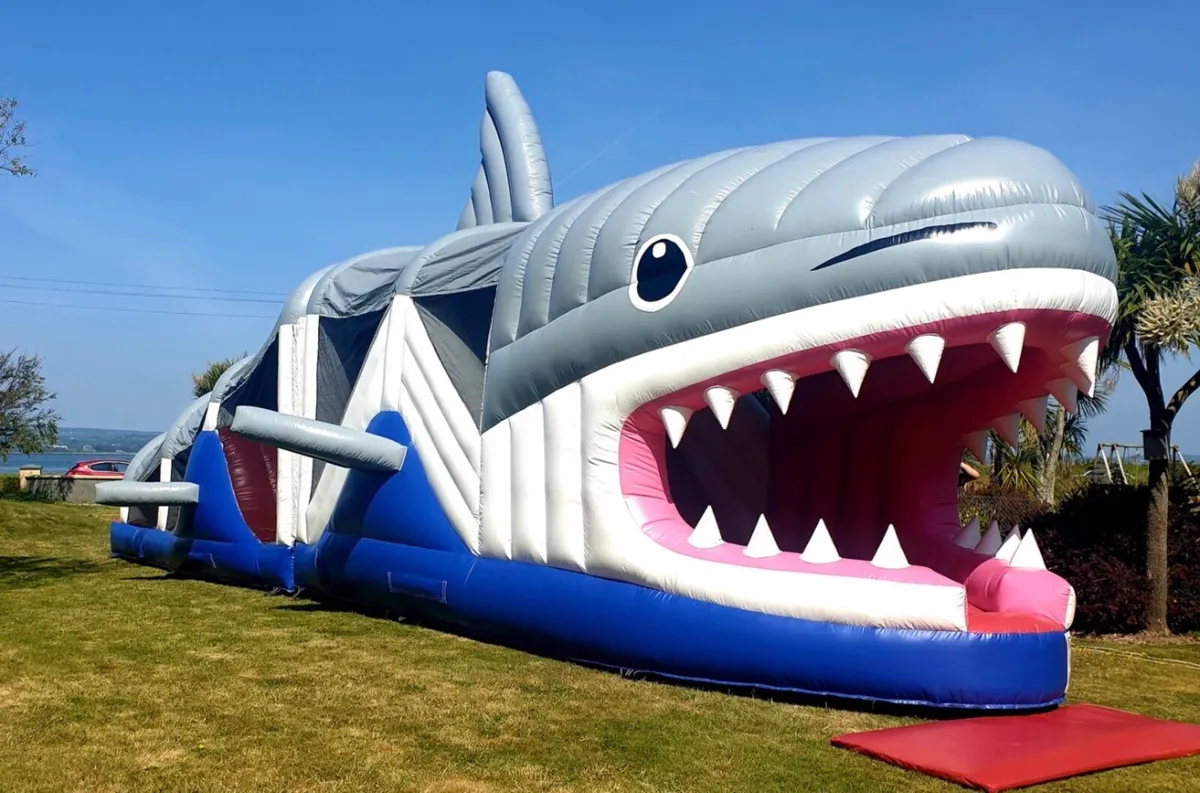 Bouncy castles - Image 3