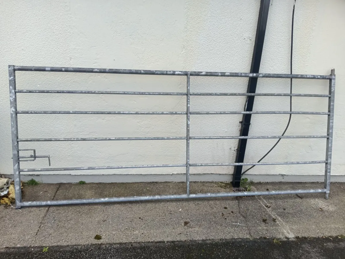 Galvanized steel gate - Image 1