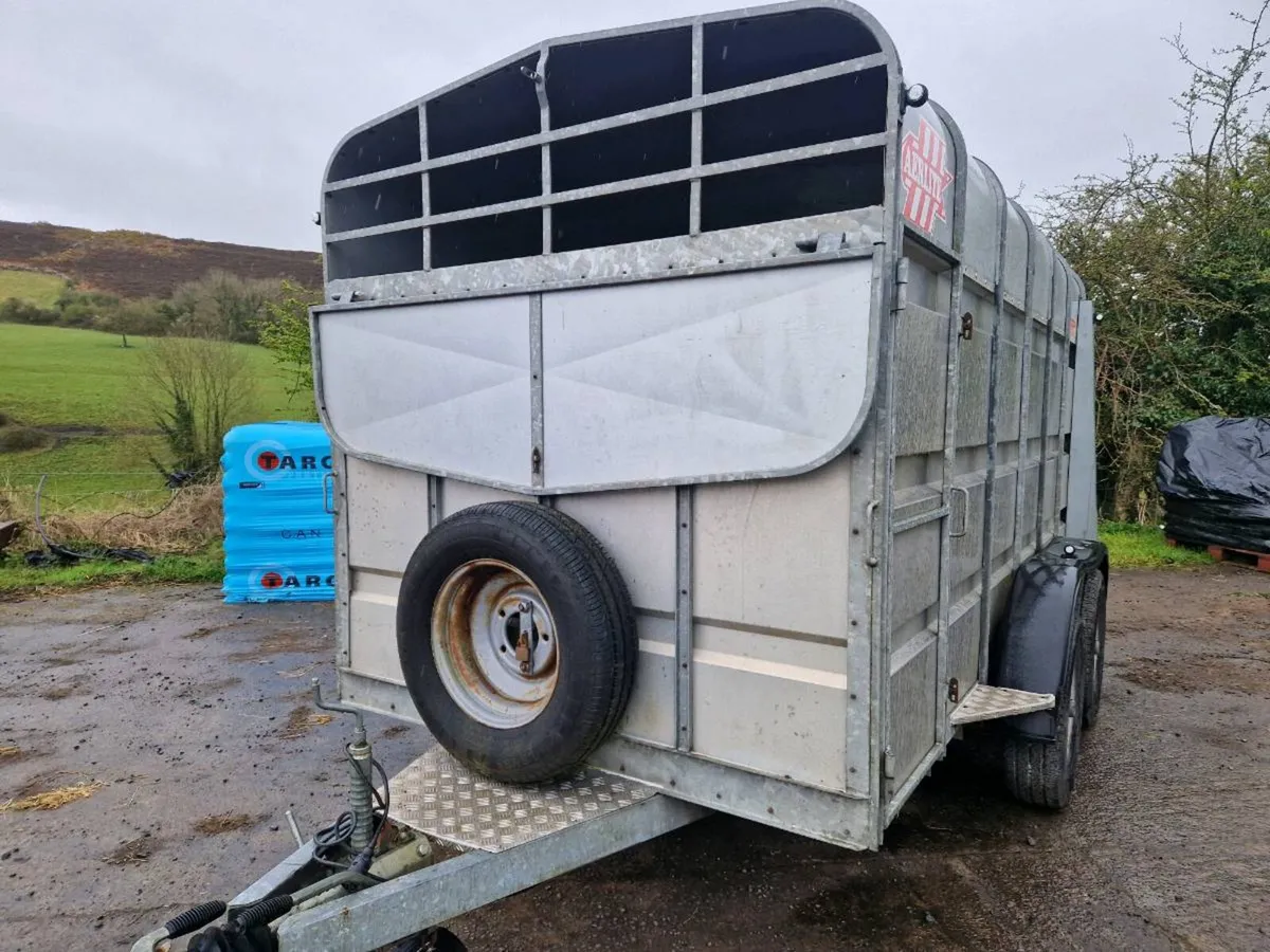 Cattle Trailer - Image 4