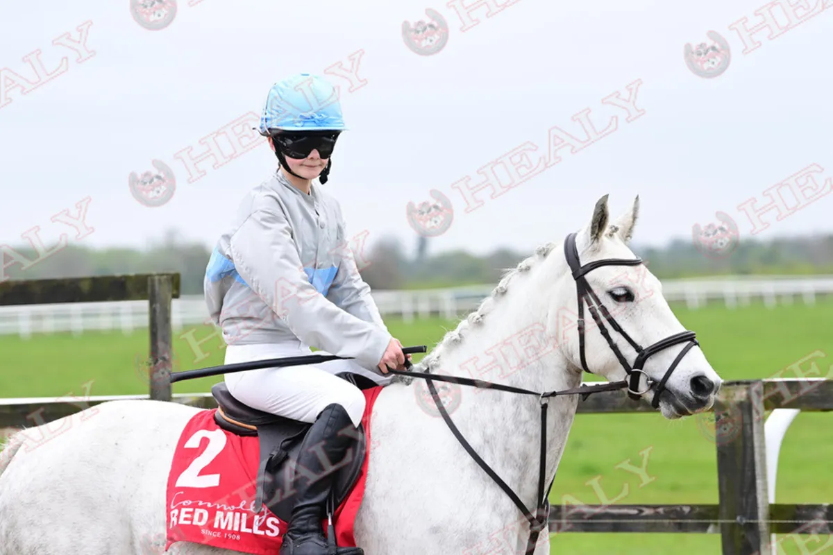 14,1 Connemara pony - Image 1