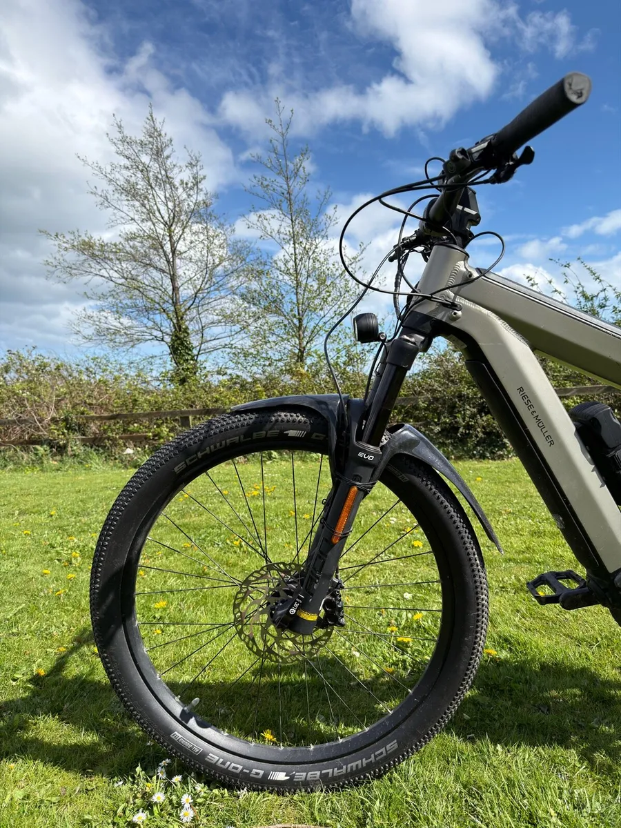 Riese & Müller Superdelite GT Rohloff HS - Image 4