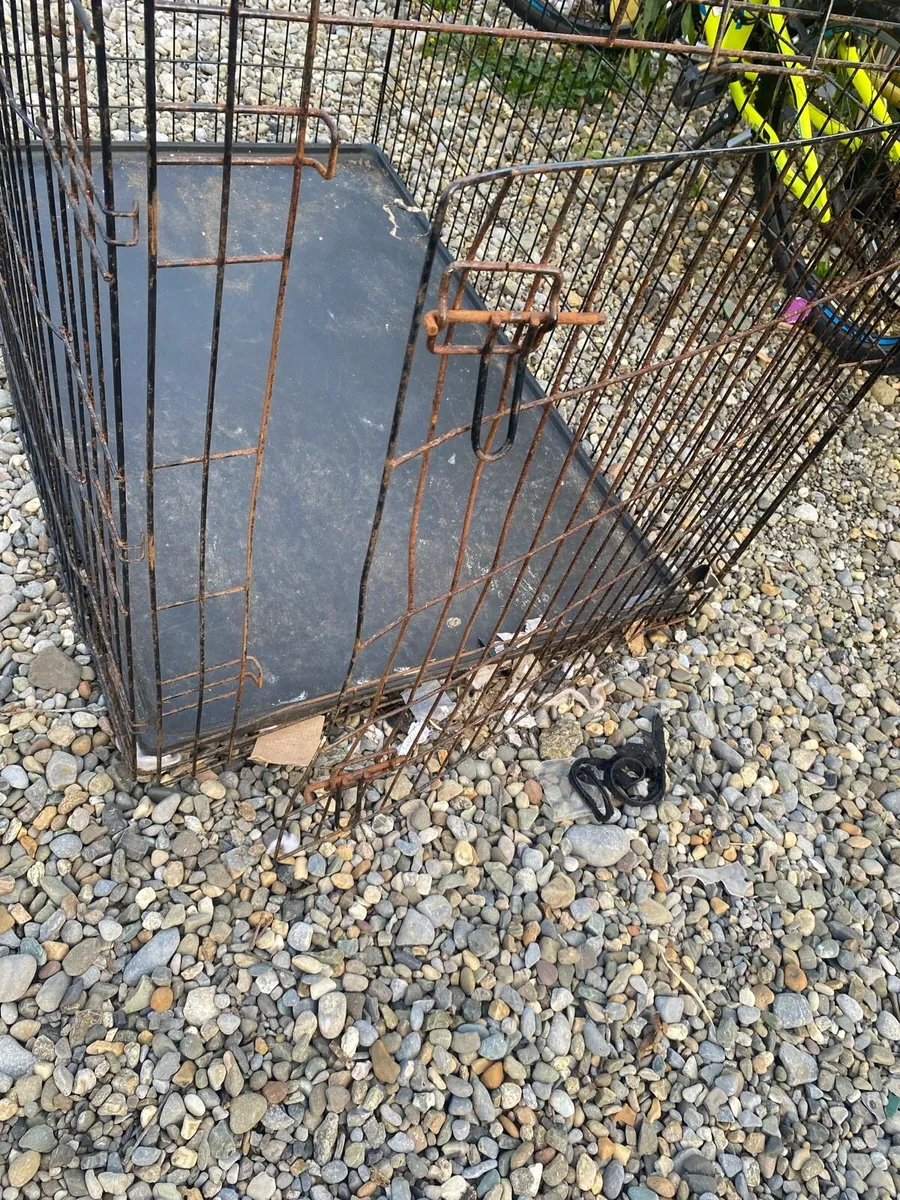 Dog crates - Image 4
