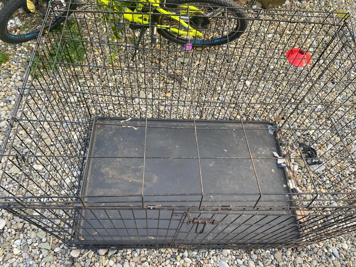 Dog crates - Image 2