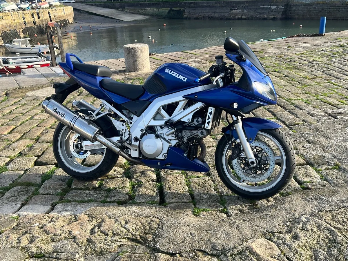 Suzuki SV1000 - Image 3