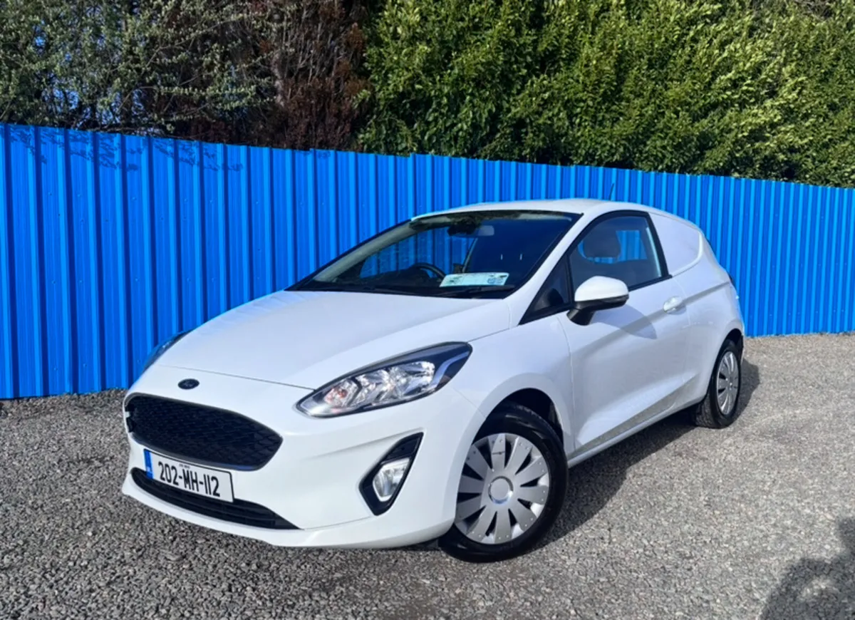 2020 fiesta - Image 1