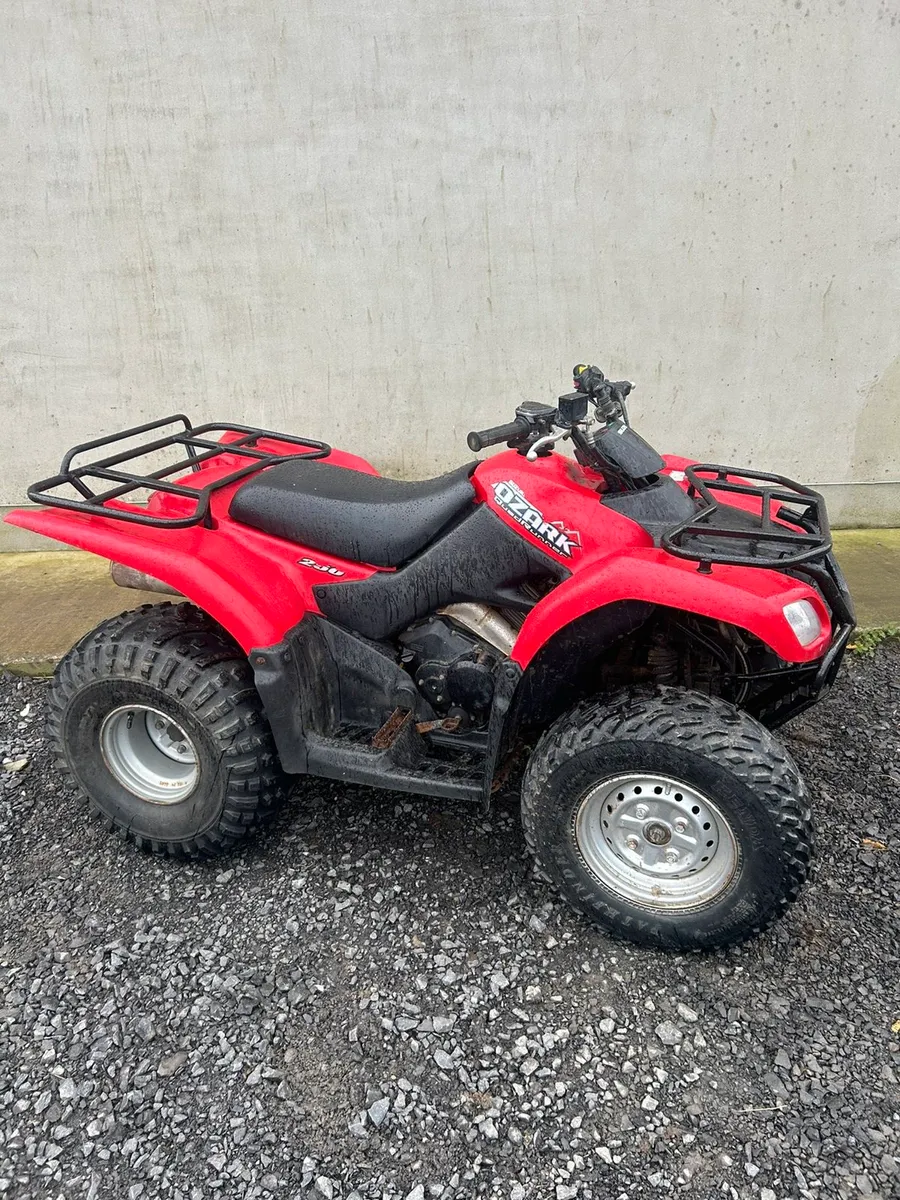 Suzuki ozark 250 - Image 1