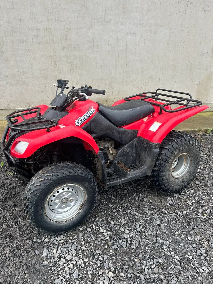 Suzuki ozark 250 - Image 2