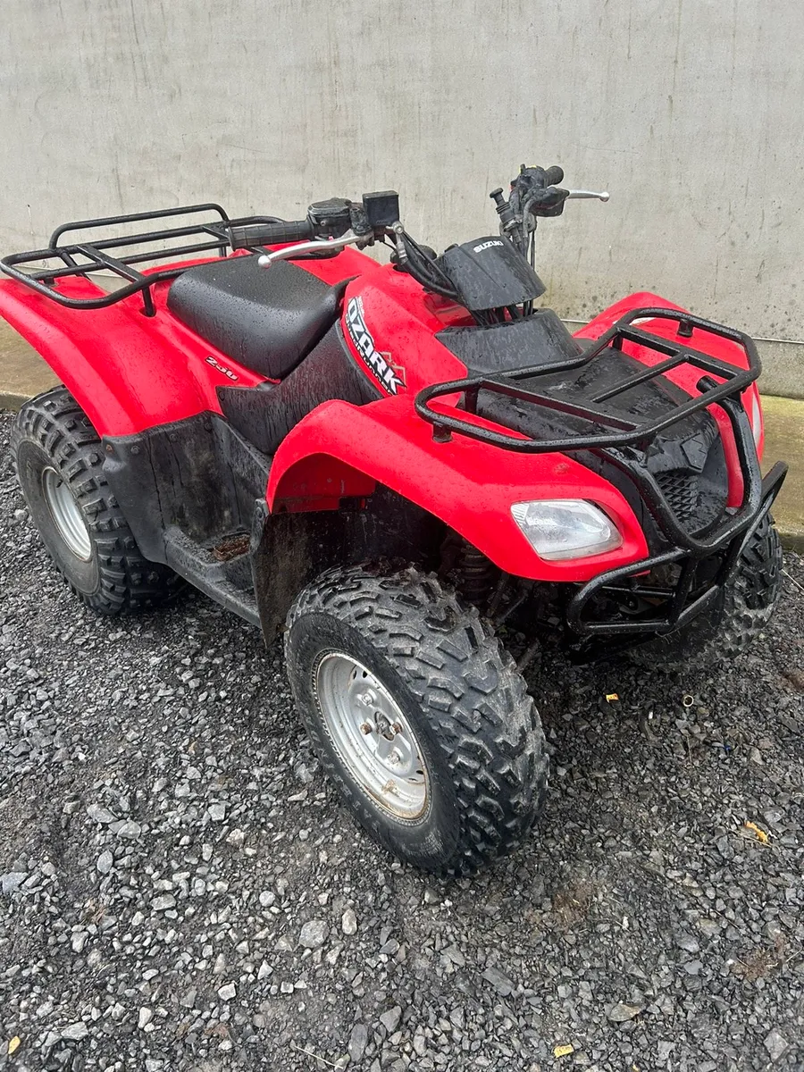 Suzuki ozark 250 - Image 3