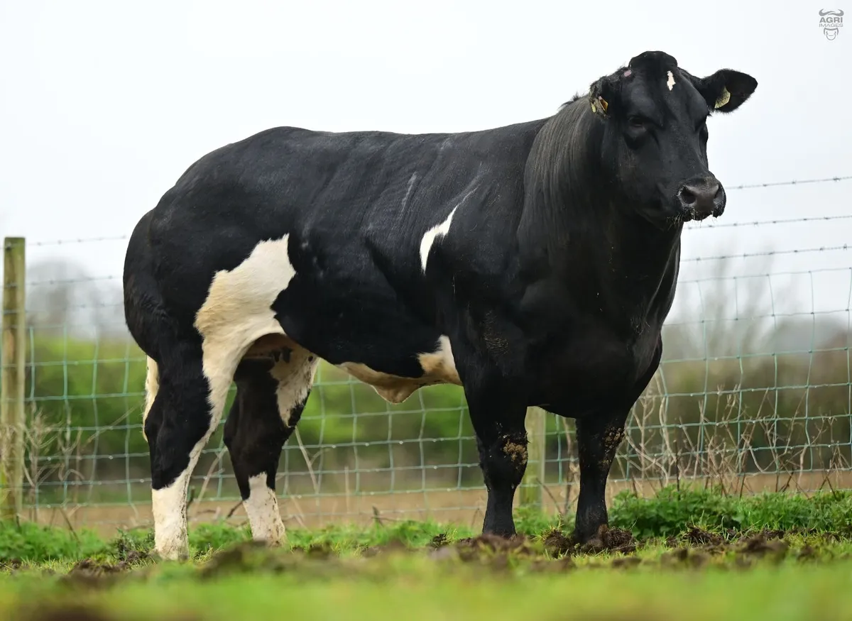 Jalex Select - Image 1