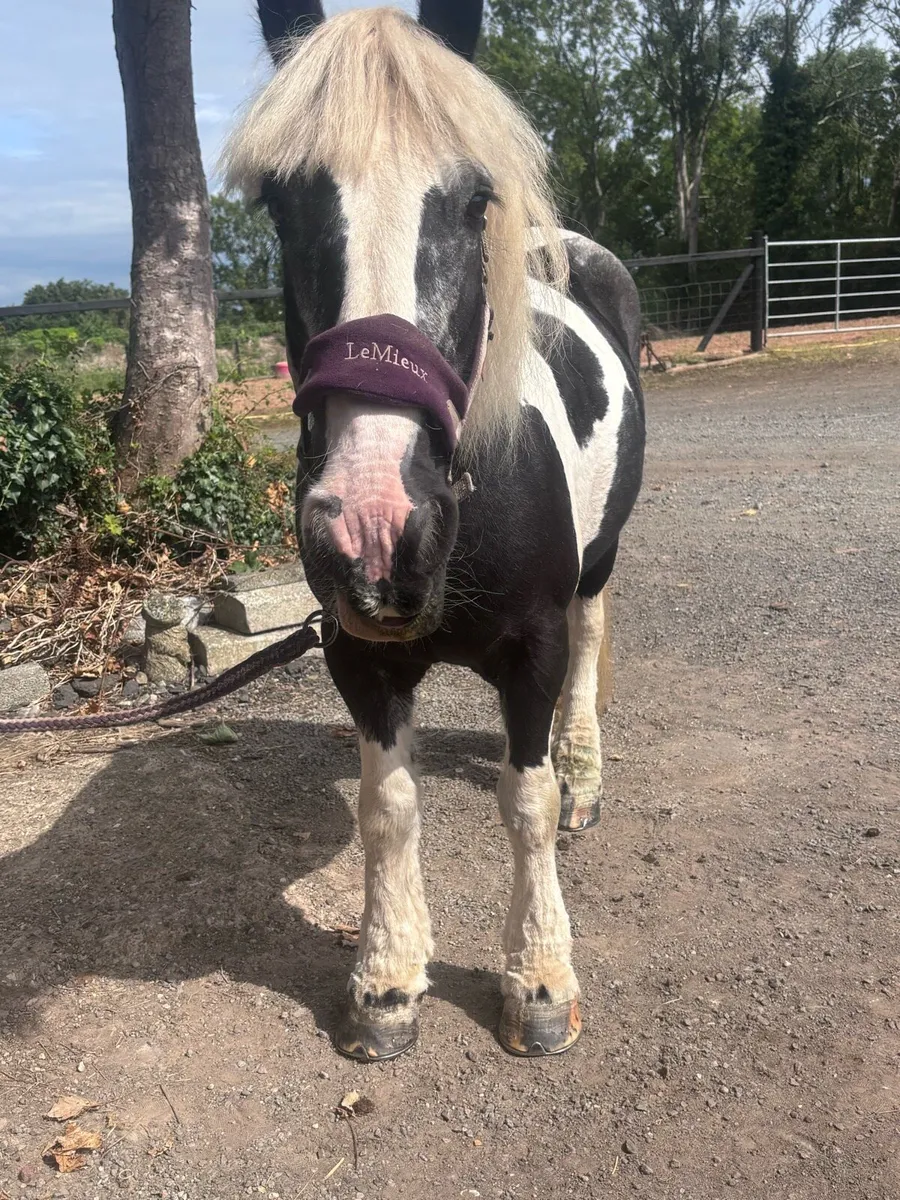 ✨MAGGIE✨ - Image 2