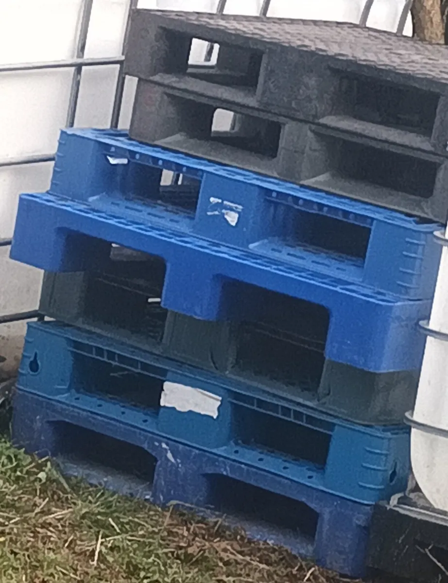 Pallets - Image 1