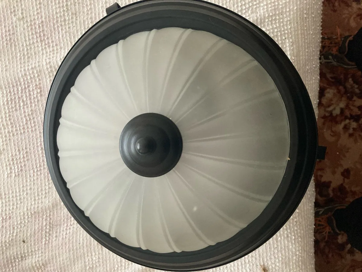 Globe ceiling light - Image 1