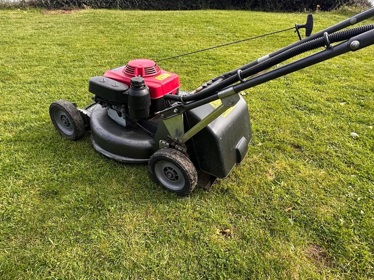 Honda HRH 536 Pro Lawnmower - Image 3