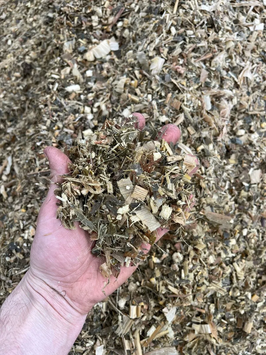 Baled maize - Image 2