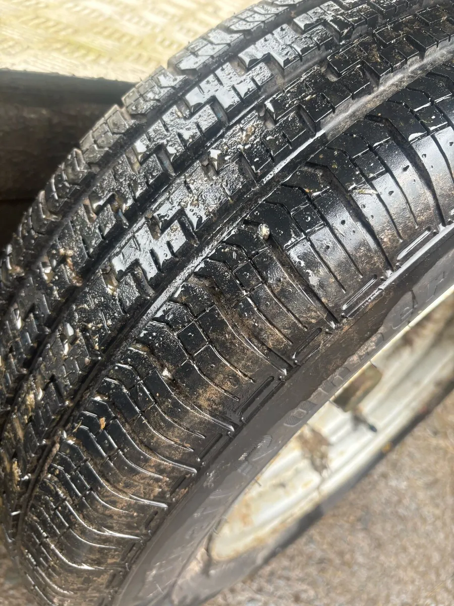 12x6 plant trailer - Image 3