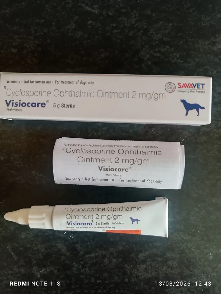 dog cyclosporine eye ointment (optimmune) - Image 1