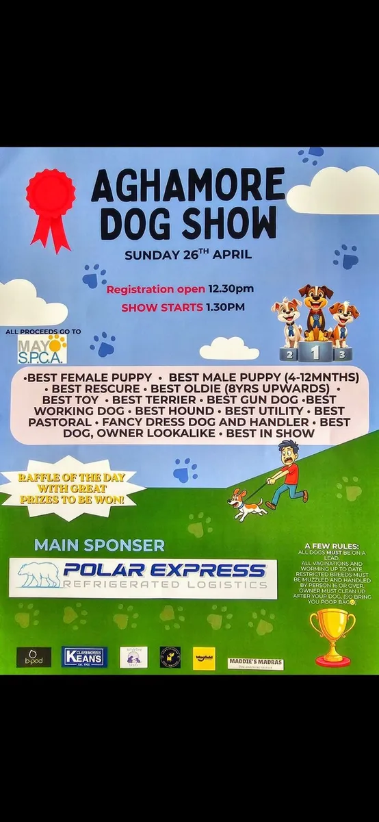 Aghamore Vintage and Cattle Show - Image 2