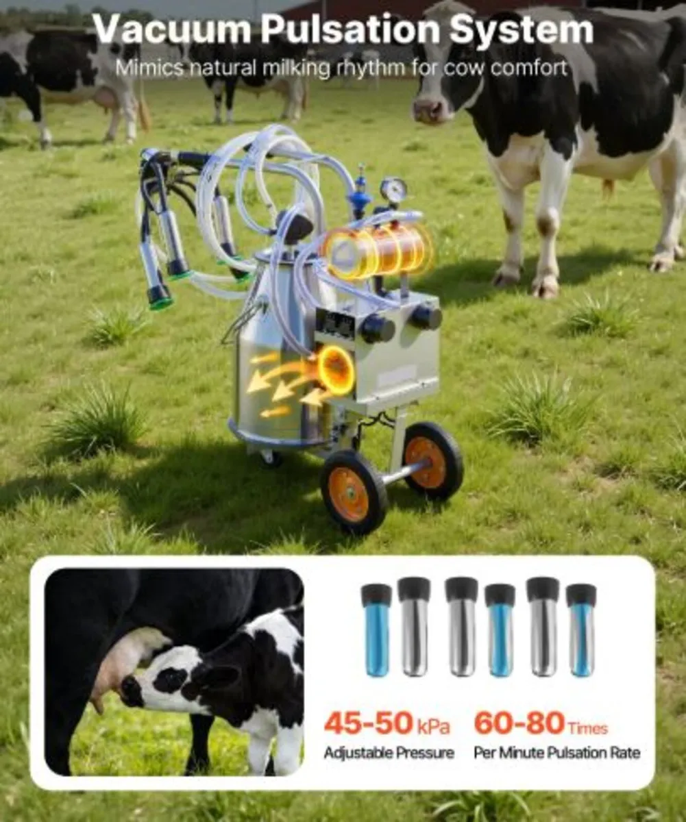 Electric Cow Milking Machine, 6.6 Gal / 25 L 304 - Image 2