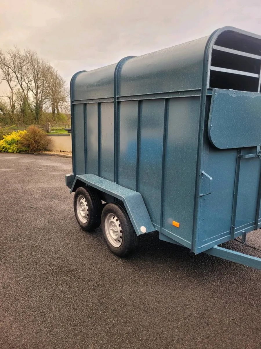 8 by 4 cattle trailer - Image 1