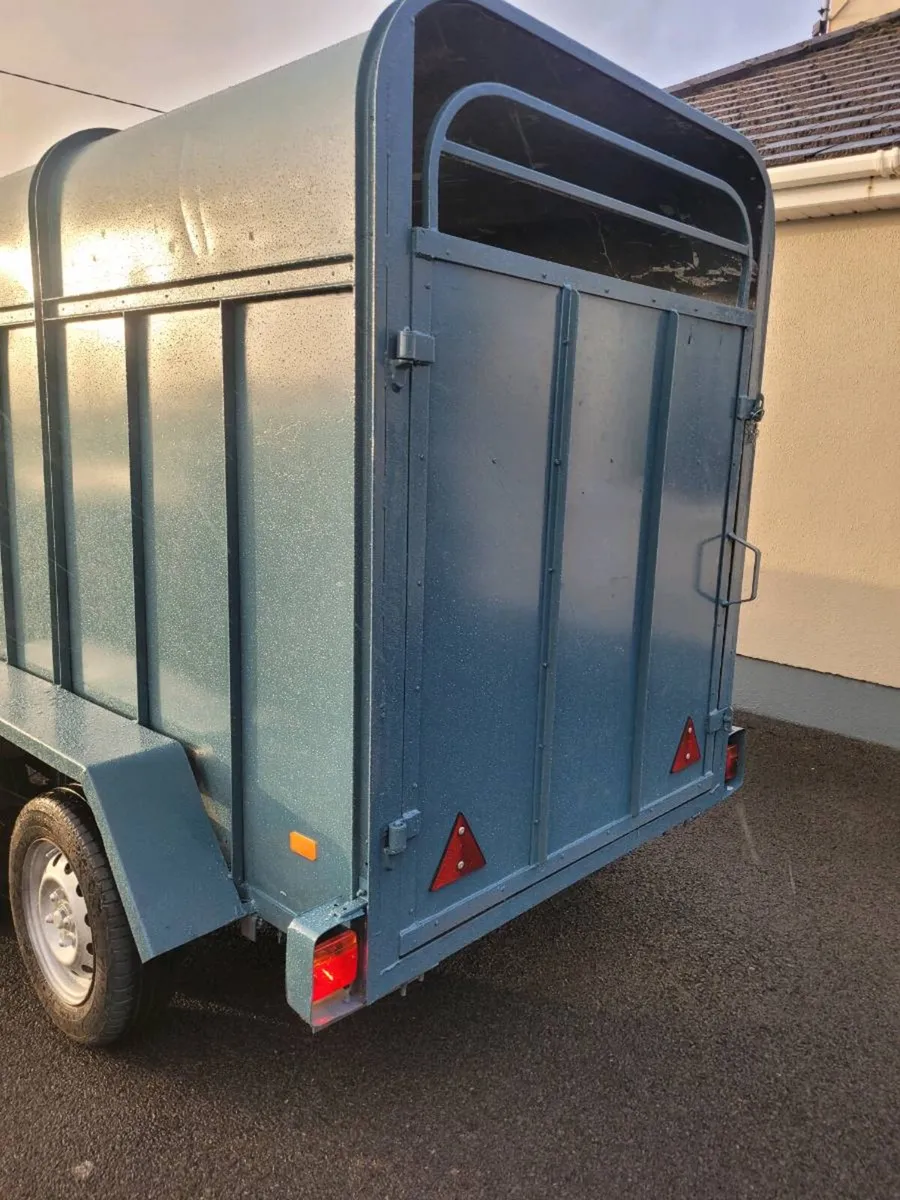 8 by 4 cattle trailer - Image 2