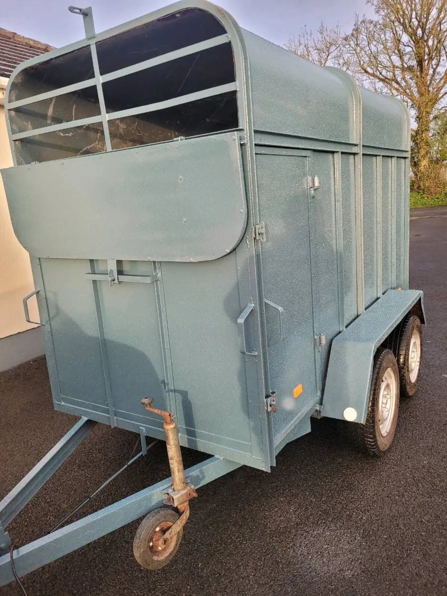 8 by 4 cattle trailer - Image 3