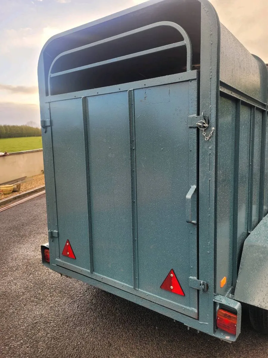 8 by 4 cattle trailer - Image 4