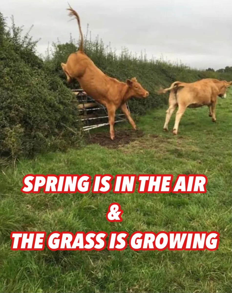 Have you seen them ?? - Image 1