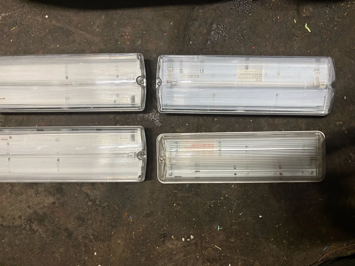 4 brand-new lights when power is gone back up